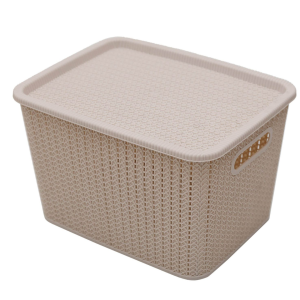Organizador Simil Ratan 20 Lts